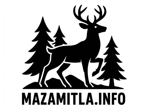 mazamitla.info