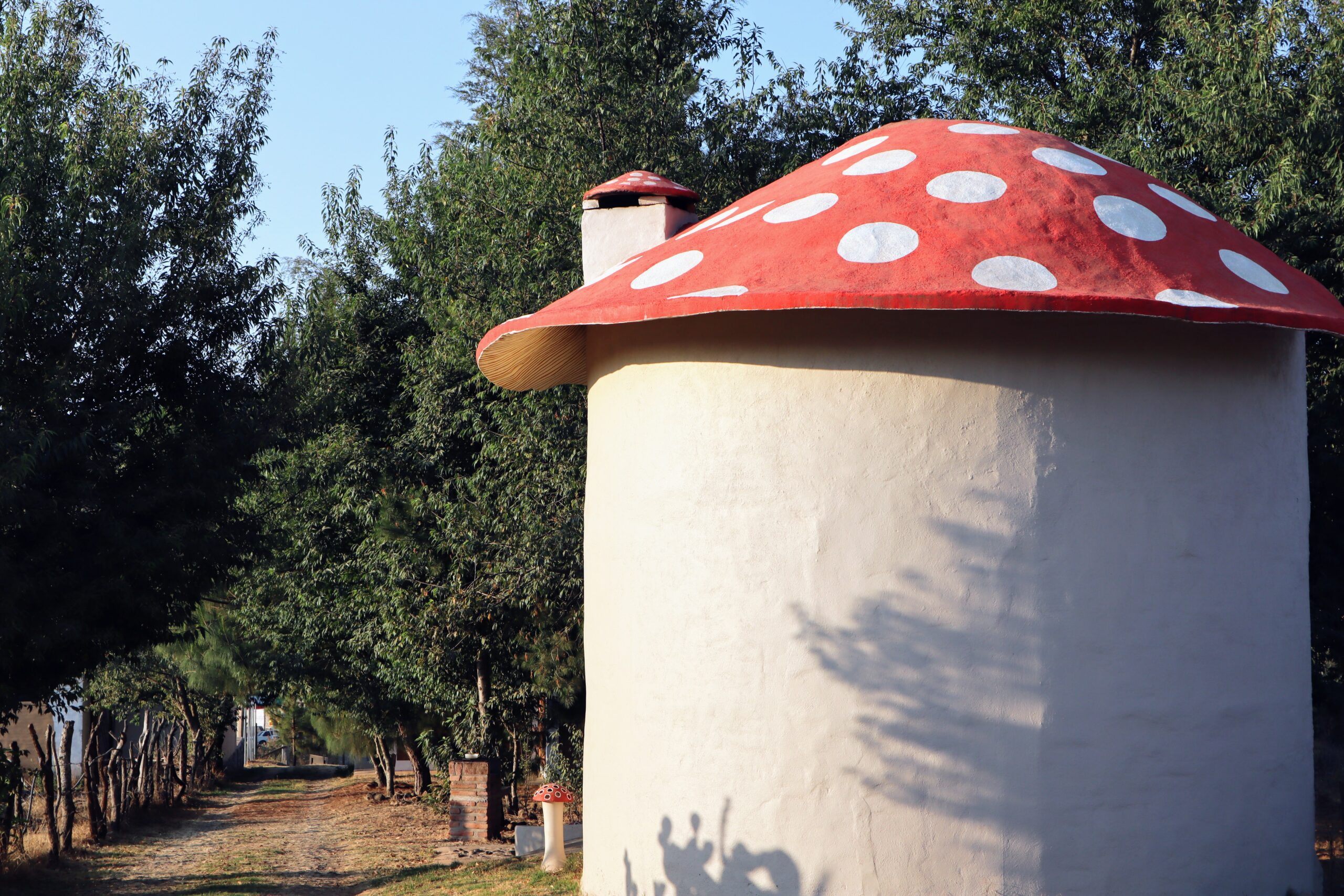 mushroom cabin in mazamitla